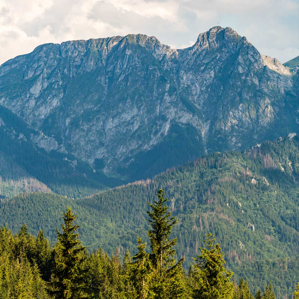 Tatry '26