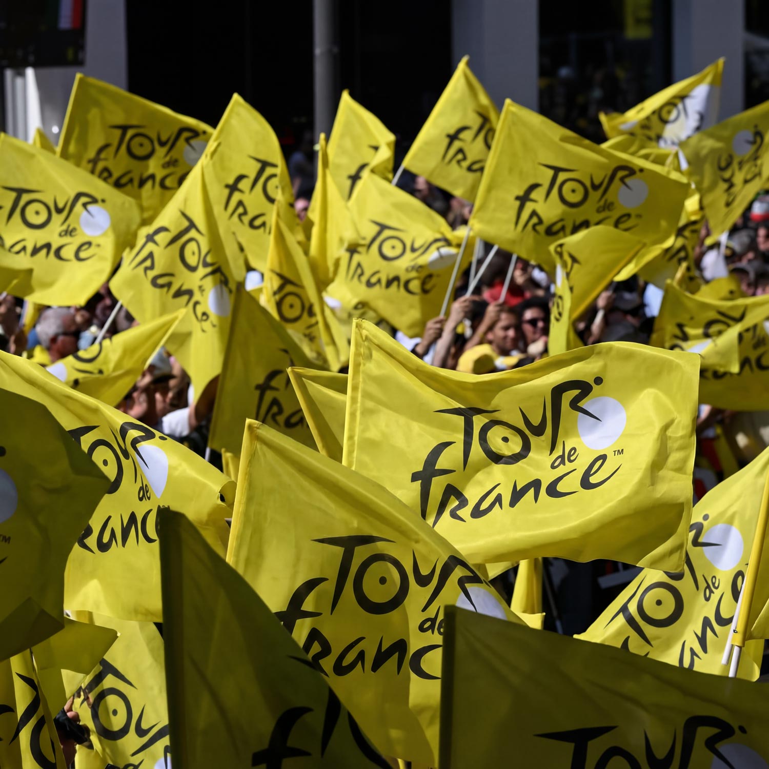 TdF: Alpy Francuskie '26