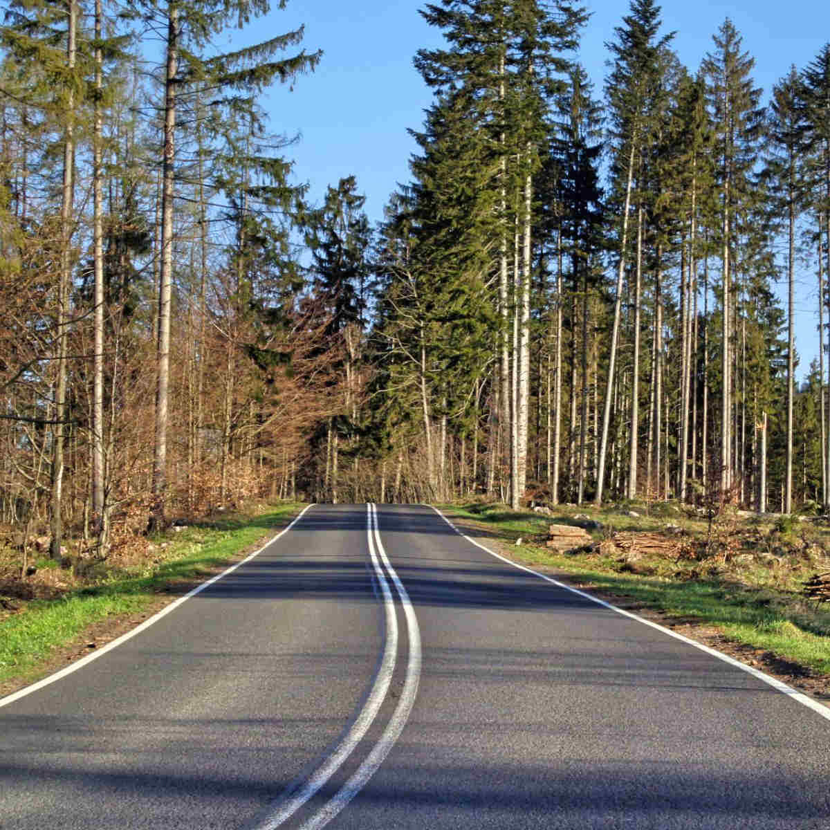Beskid Śląski '26