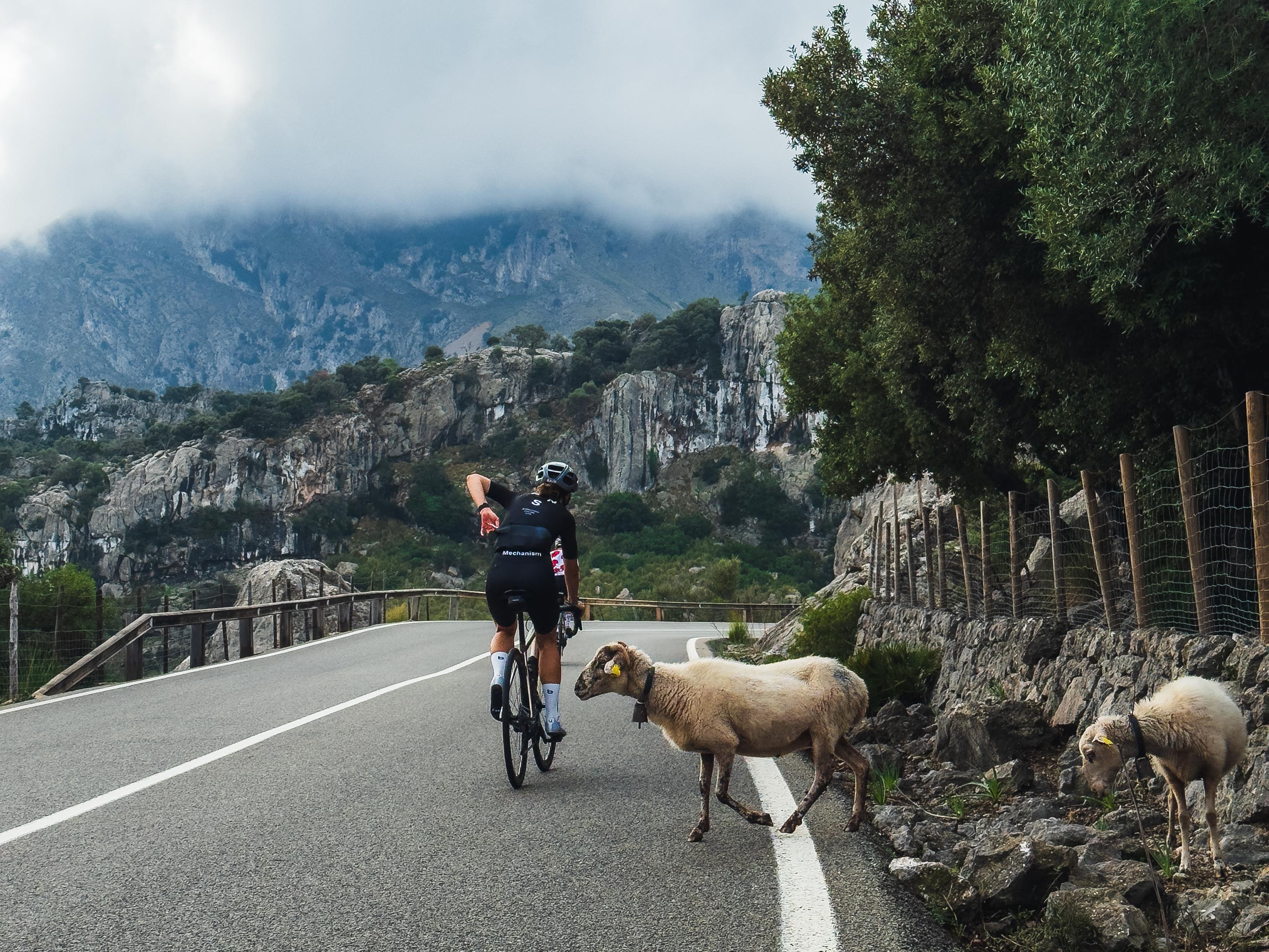 Mallorca, ecstasy and motion! '25