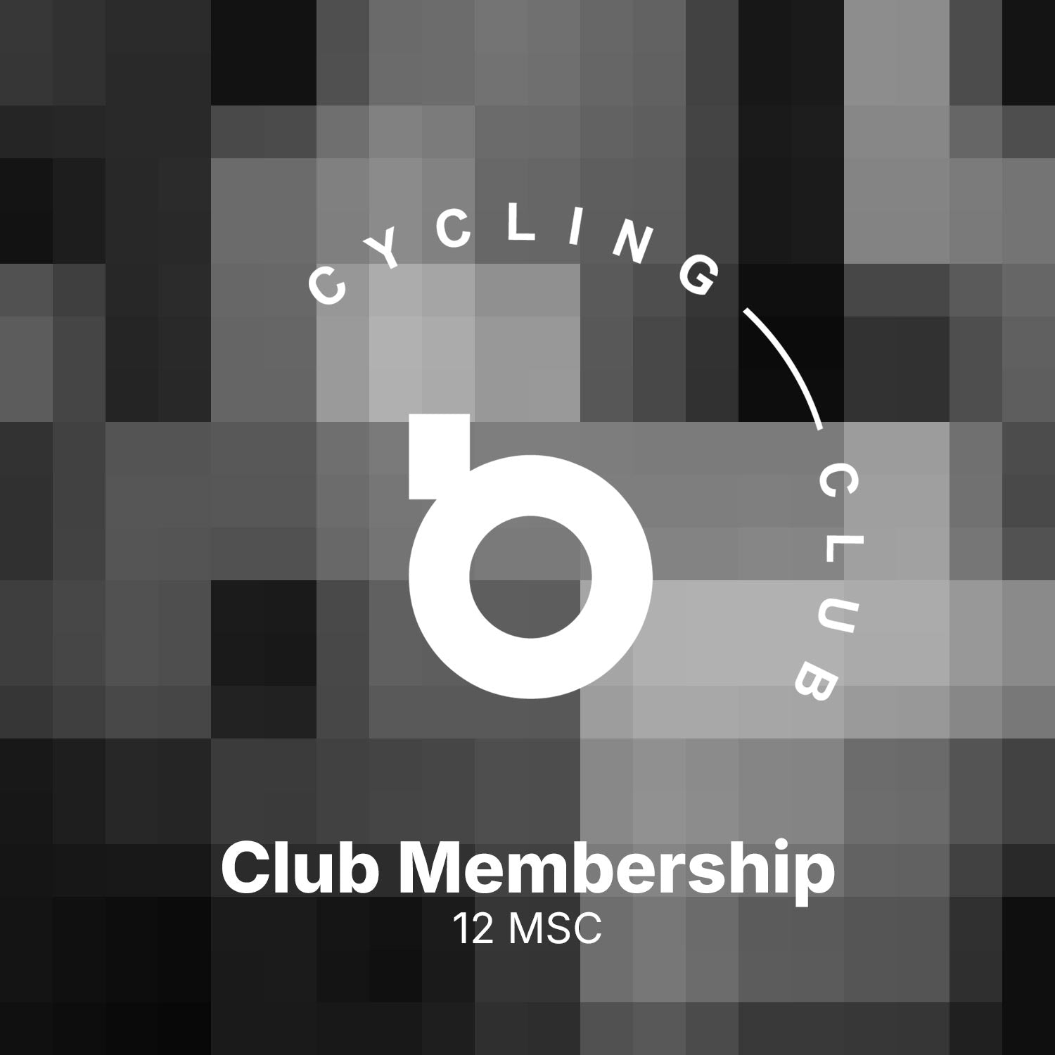 Membership 12 msc