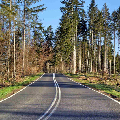 Beskid Śląski '26